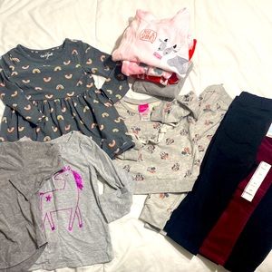 Toddler Girl Winter Bundle - 12 pieces EUC 💗
